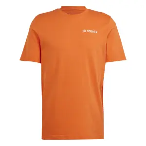 Camiseta adidas Terrex Graphic MTN 2.0 image-0