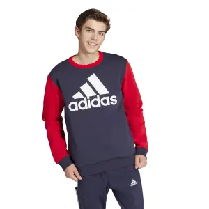 Hooded sweatshirt adidas Essentials Big Logo image-1