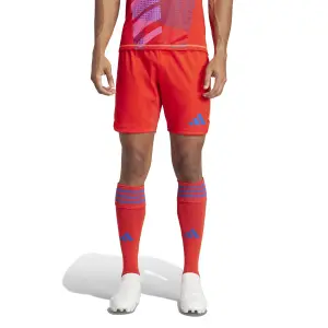 Torwartshort adidas Tiro 24 Pro image-3