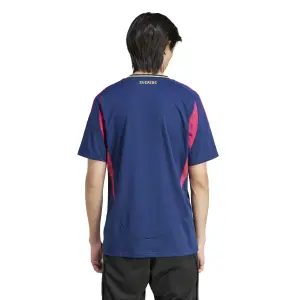 Camiseta segunda equipación Suecia Euro 2024 image-4