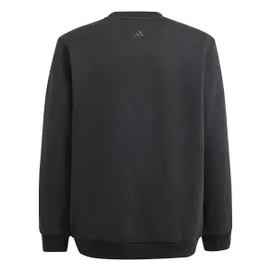 Sudadera infantil adidas All Szn Graphic image-1