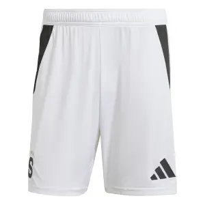 Kort hjem Sparta Prague 2024/25