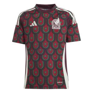 ip6364-camisola-principal-para-criancas-mexique-copa-america-2024-multicolor