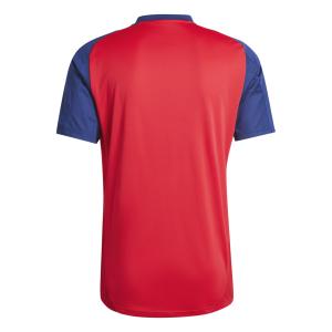 Camiseta de entrenamiento Espagne Euro 2024 image-2
