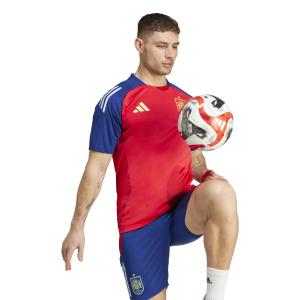 Camiseta de entrenamiento Espagne Euro 2024 image-1