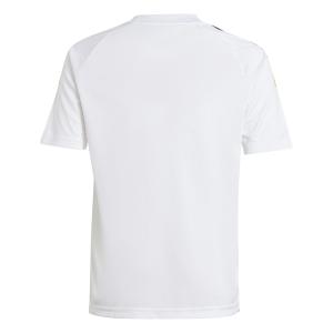 product/a/d/adidas_ip8148_3_apparel_photography_back_center_view_white.jpg