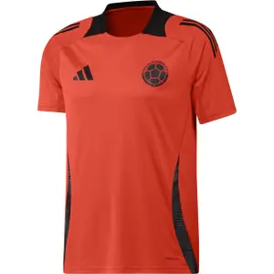 Maglia da allenamento Colombia Copa America 2024 image-0