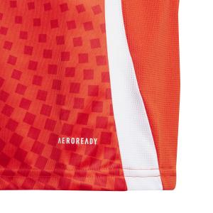 Camiseta primera equipación infantil Chile Copa América 2024 image-4