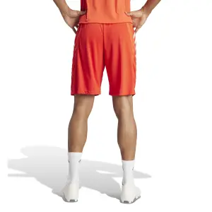 Formação de curta duração Bayern Munich 2023/24 image-2