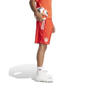 Formação de curta duração Bayern Munich 2023/24 image-3