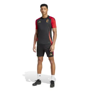 Maillot d'entraînement Belgique Euro 2024 image-2
