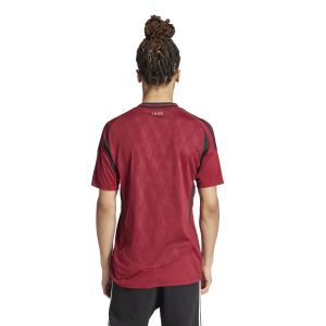 Camiseta primera equipación Bélgica Euro 2024 image-5