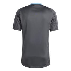Maglia da allenamento Argentina Copa America 2024 image-1