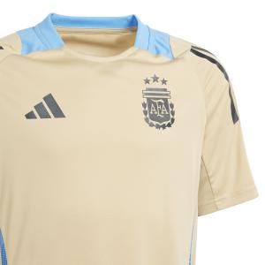 Camiseta de entrenamiento infantil Argentina Copa América 2024 image-2