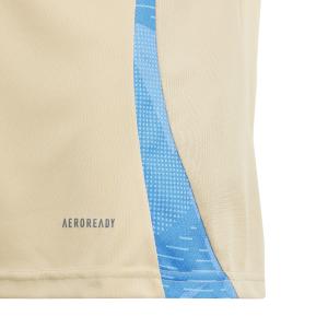 Camiseta de entrenamiento infantil Argentina Copa América 2024 image-3