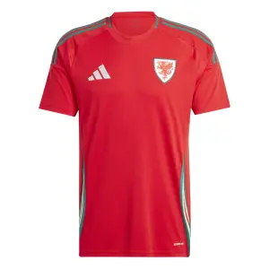Maglia Home Pays de Galles Euro 2024 image-0