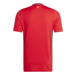 Maglia Home Pays de Galles Euro 2024 image-3