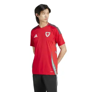 Maglia Home Pays de Galles Euro 2024 image-1