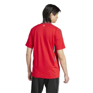 Maglia Home Pays de Galles Euro 2024 image-4