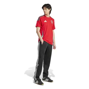 Maglia Home Pays de Galles Euro 2024 image-2