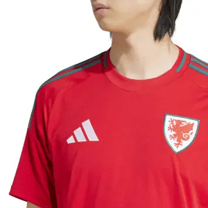 Maglia Home Pays de Galles Euro 2024 image-5