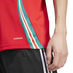 Maglia Home Pays de Galles Euro 2024 image-6