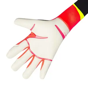 Rękawice bramkarskie adidas Predator Pro Hyb image-1