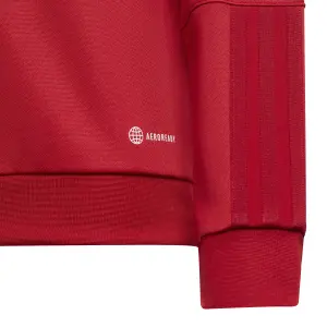Sweatshirt child Benfica Lisbonne Tiro 23 image-3