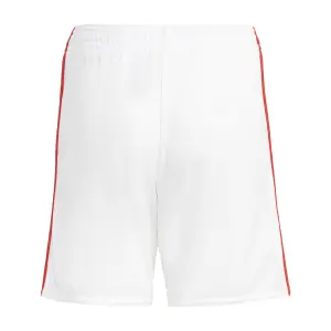 Mini-Home-Kit Kind Benfica Lisbonne 2023/24 image-3
