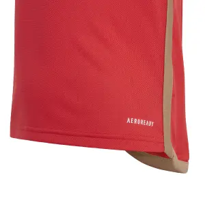 Mini-Home-Kit Kind Benfica Lisbonne 2023/24 image-5