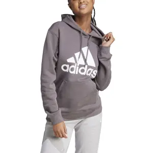 Sudadera con capucha adidas Essentials Big Logo Regular image-1