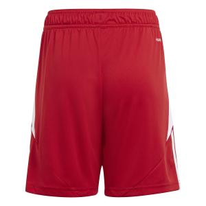 Children's shorts adidas Tiro 24 image-1