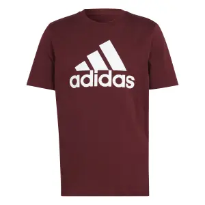 Camiseta adidas Essentials Big Logo image-0