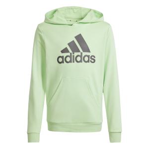 is2591-bluza-dziecieca-adidas-big-logo-essentials-segrsp-chacoa