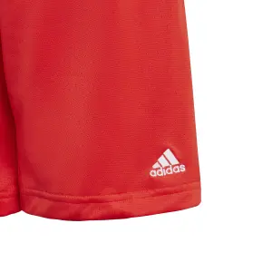 Children's shorts adidas Brand Love image-3