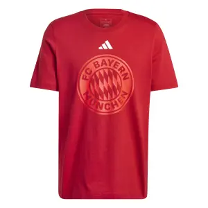 T-shirt Bayern Munich DNA 2024/25 image-0
