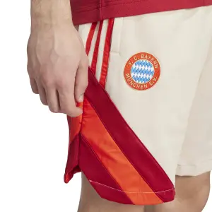 Kort Bayern Munich 2024/25 image-4