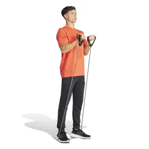 Camisola adidas All Gym Category Graphic image-2