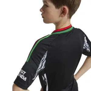 Uitshirt voor kinderen Arsenal 2024/25 image-6