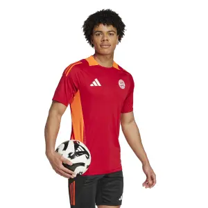 Trikot Bayern Munich Tiro 2024/25 image-2