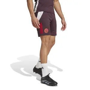 Trainingsshorts Bayern Munich Tiro 2024/25 image-1