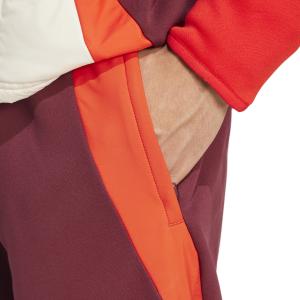 Trainingshose Bayern München European Tiro 2024/26 image-4