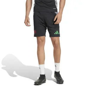 Trainingsshorts Arsenal Tiro 2024/25 image-1