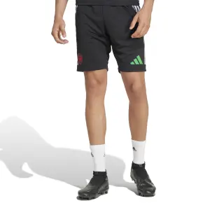 Trainingsshorts Arsenal Tiro 2024/25 image-2