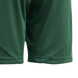 Children's shorts adidas Tiro 24 image-3