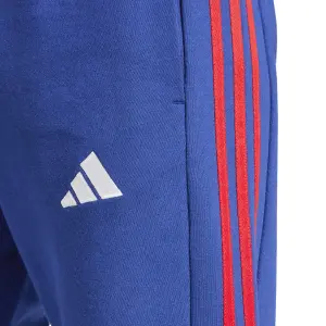 Pantaloni da ginnastica Arsenal DNA 2024/25 image-5