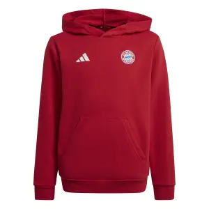 Child hoodie Bayern Munich 2024/25