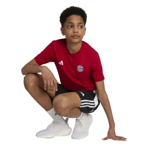 Bayern München Kinder T-Shirt Tepore 2025/26 image-2