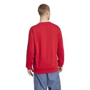 Sweatshirt Bayern Munich DNA 2024/25 image-3