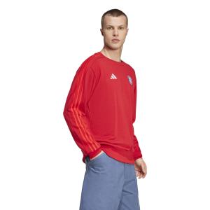 Sweatshirt Bayern Munich DNA 2024/25 image-2